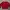 Casual Sweater Pria Red