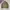 SOPHNET. Avant Garde Casual Harrington jacket Pria brown photo 1