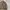 SOPHNET. Avant Garde Casual Harrington jacket Pria brown photo 5