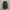 Moncler Y2K Casual Windbreaker Pria green photo 1