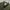 Moncler Y2K Casual Windbreaker Pria green photo 2