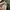 Moncler Y2K Casual Windbreaker Pria green photo 4