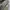 Moncler Y2K Casual Windbreaker Pria green photo 3