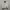 Mammut Y2K Puffer jacket Pria white black photo 1