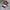 Japanese brand Y2K Biker Bomber jacket Pria multicolor photo 1