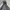 Japanese brand Y2K Gorpcore Hoody Pria gray photo 3