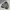 Japanese Brand Y2K Casual Harrington Jacket Pria Gray
