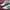 Adidas Streetwear Casual Sneakers Pria white green photo 2