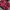 Napapijri Grunge Goth Fur coat Pria red black photo 4