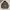 SOPHNET. Sportswear Casual Track jacket Pria brown photo 1