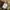 SOPHNET. Sportswear Casual Track jacket Pria brown photo 5