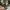 Japanese brand Streetwear Casual Windbreaker Pria multicolor photo 5