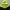 Nike Sportswear Windbreaker Pria multicolor photo 3
