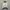 Marcelo Burlon Luxury Windbreaker Pria white black photo 4