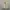 Burberry Casual Bomber jacket Pria cream photo 1