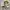 Burberry Casual Bomber jacket Pria cream photo 2