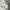 COMME des GARÇONS Luxury Avant Garde T-shirt Pria white photo 7