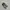 Onitsuka Tiger Casual Sneakers Pria silver white photo 3