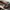Adidas Casual Sneakers Pria white tan photo 6