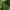 Under Armour Sportswear Hoody Pria Green