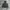 NEPA Gorpcore Track jacket Pria white black photo 1
