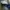 Adidas Sportswear Casual Sneakers Pria blue photo 4