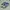 Adidas Sportswear Casual Sneakers Pria blue photo 2