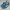 Adidas Sportswear Casual Sneakers Pria Blue