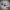 Lee Vintage Y2K Hoody Pria navy photo 4