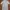 Jill Stuart Casual Casual dress Wanita white blue photo 2