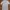 Jill Stuart Casual Casual Dress Wanita White Blue