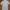Jill Stuart Casual Casual dress Wanita white blue photo 1