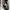 VANS Y2K Skater Casual shoe Pria black photo 2