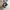 Nike Air Jordan Streetwear Sneakers Pria White Black