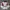 Vintage Streetwear Windbreaker Pria multicolor photo 3