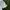 Greg Lauren Casual Polo shirt Pria green photo 4
