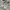 Nike Streetwear Casual Sneakers Pria white gray photo 2