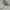 Nike Streetwear Casual Sneakers Pria white gray photo 3