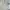 Helly Hansen Casual Puffer jacket Pria tan photo 3