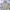 Helly Hansen Casual Puffer jacket Pria tan photo 2