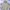 Helly Hansen Casual Puffer Jacket Pria Tan