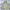 Helly Hansen Casual Puffer jacket Pria tan photo 4