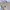 Helly Hansen Casual Puffer jacket Pria tan photo 5