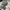 Polo Ralph Lauren Streetwear Casual Hat Pria gray photo 2