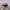 Vintage Streetwear Hat Pria tan black photo 1