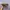 Made in USA Streetwear Skater Hat Pria tan brown photo 2