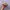 Vintage Y2K Hat Pria tan red photo 2