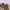 Vintage Y2K Hat Pria tan red photo 4
