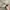 Nike Streetwear Sportswear Hat Pria tan photo 2
