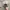 Nike Streetwear Sportswear Hat Pria tan photo 3
